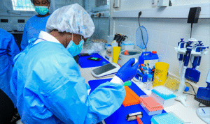 Epidemiologie 300x178